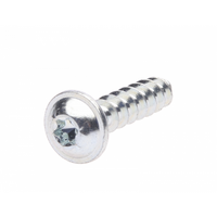 SCREW-K60X25MM TORX HD SELF TAP PLST
